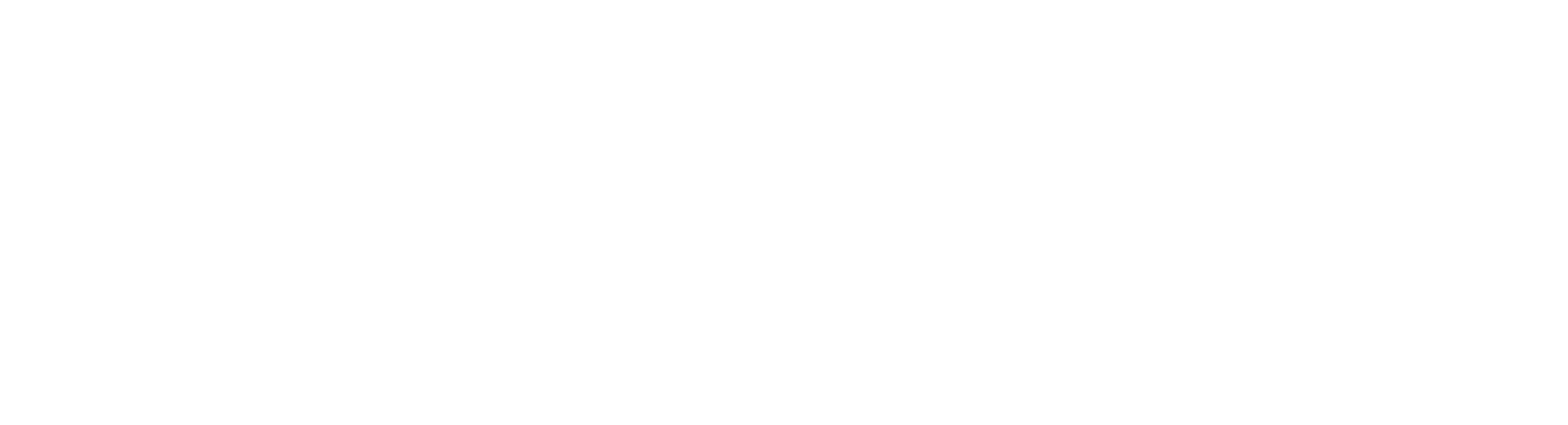 Leonardi Fashion Store